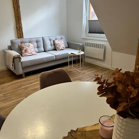 Apartament 2 Willa Bellevue Rabka-Zdrój Exterior photo